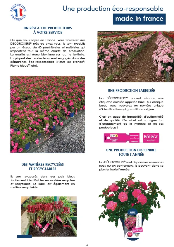 CATALOGUE_DECOROSIERS-5.webp