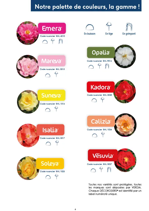 CATALOGUE_DECOROSIERS-7.webp