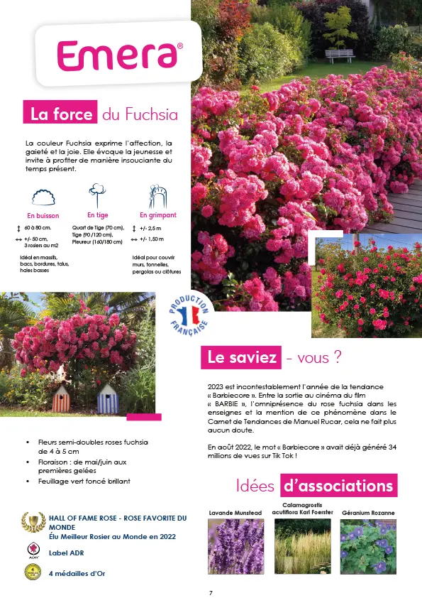 CATALOGUE_DECOROSIERS-8.webp