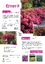 CATALOGUE_DECOROSIERS-8.webp