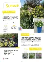 CATALOGUE_DECOROSIERS-12.webp