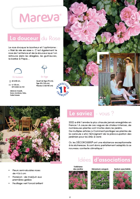 CATALOGUE_DECOROSIERS-10.webp