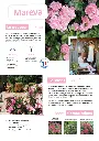 CATALOGUE_DECOROSIERS-10.webp