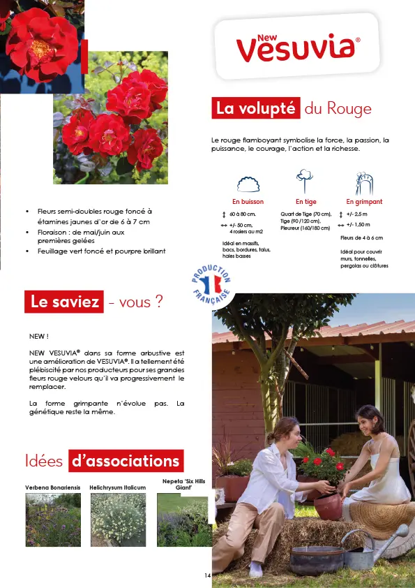 CATALOGUE_DECOROSIERS-15.webp