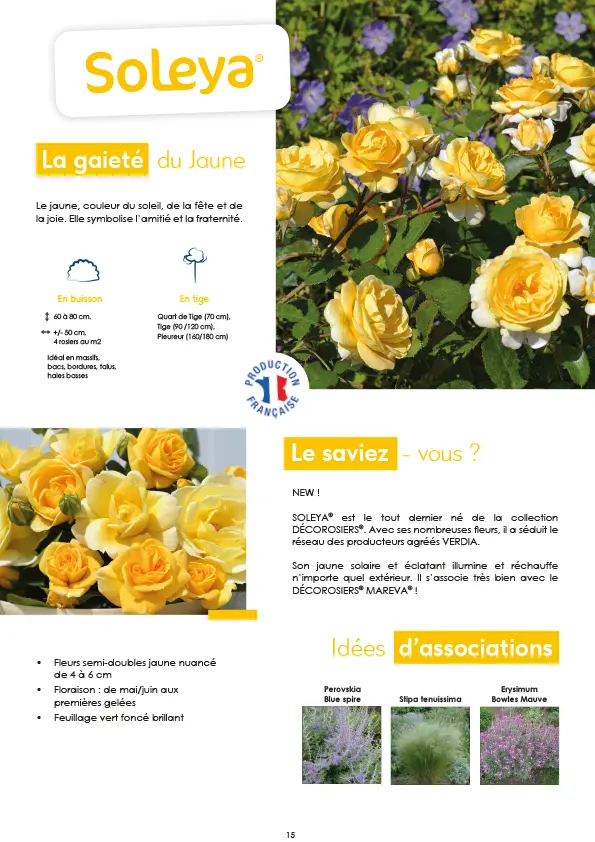 CATALOGUE_DECOROSIERS-16.webp