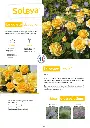 CATALOGUE_DECOROSIERS-16.webp