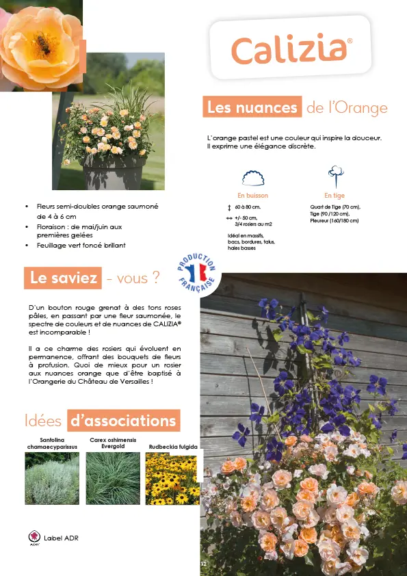 CATALOGUE_DECOROSIERS-13.webp