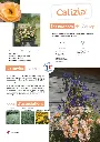 CATALOGUE_DECOROSIERS-13.webp