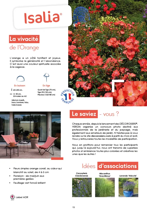 CATALOGUE_DECOROSIERS-14.webp