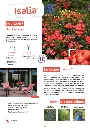 CATALOGUE_DECOROSIERS-14.webp