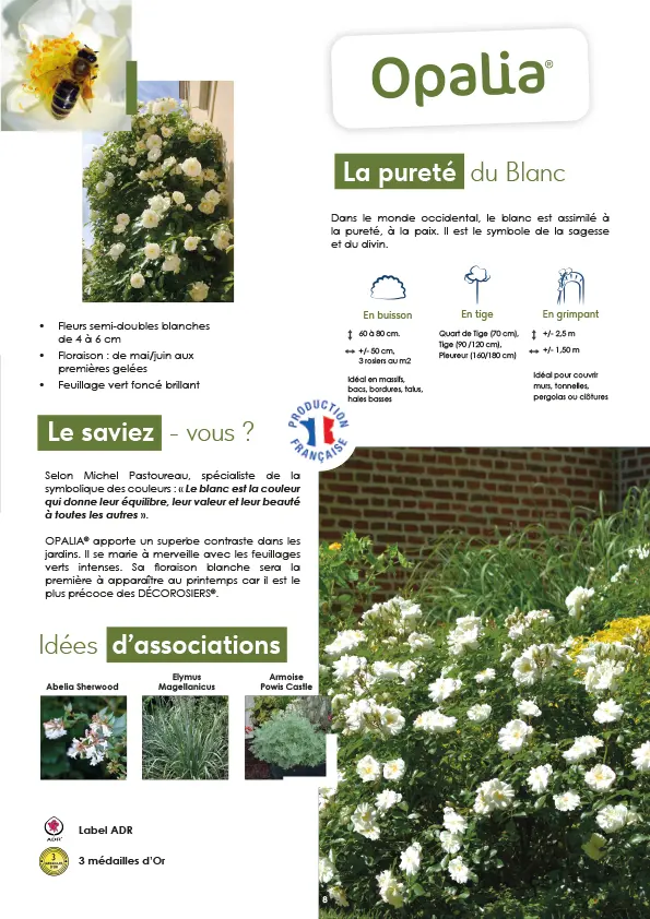 CATALOGUE_DECOROSIERS-9.webp