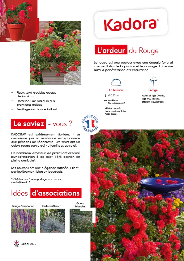 CATALOGUE_DECOROSIERS-11.webp