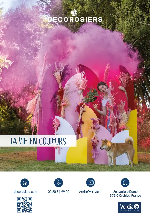 CATALOGUE_DECOROSIERS-20.webp