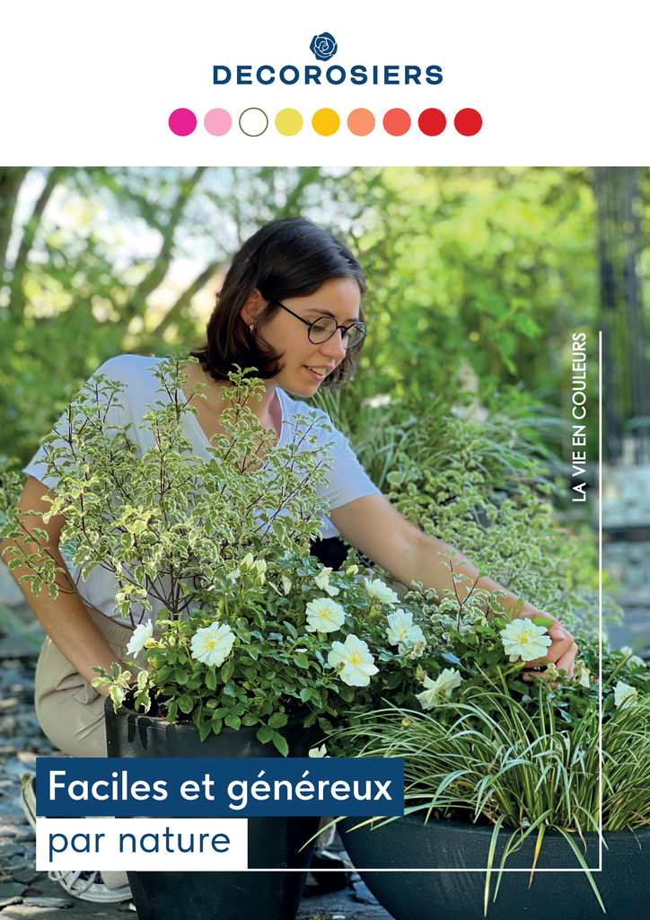 Catalogue DECOROSIERS®