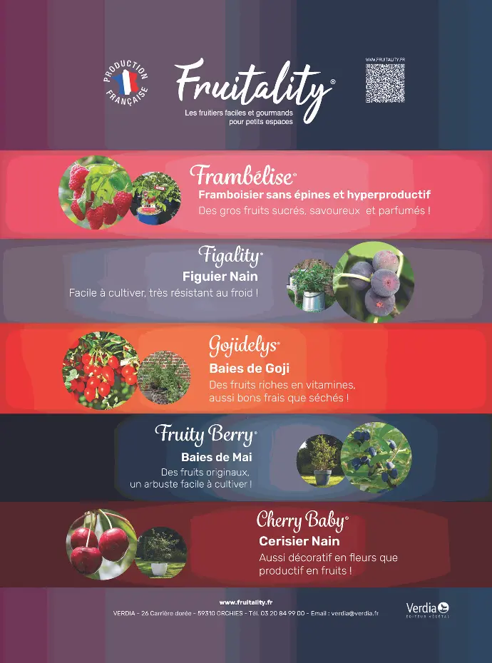 AFFICHE A4 PVC FRUITALITY