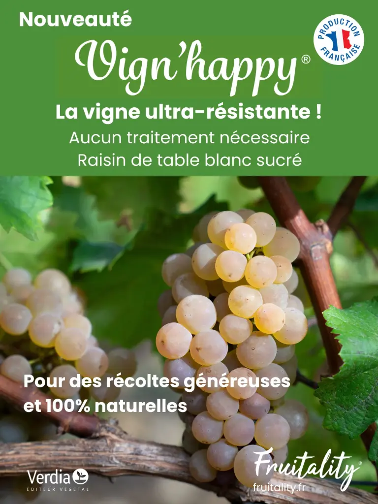 Panneau akilux Vignhappy® 60x80cm