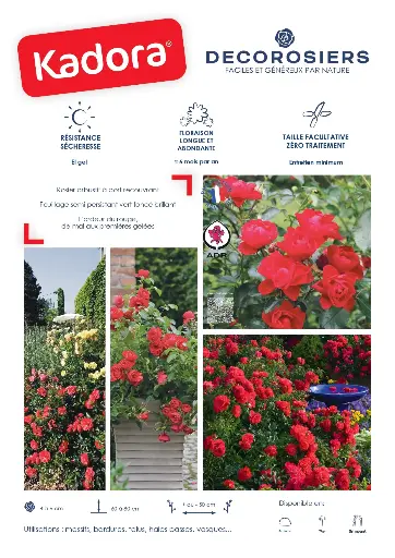[PLVAFFPVCKAD] Affichette PVC KADORA