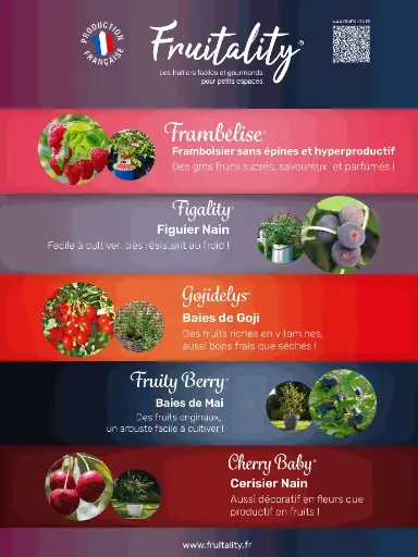 [PLVAKIFRUI] Panneau akilux FRUITALITY® 60x80cm