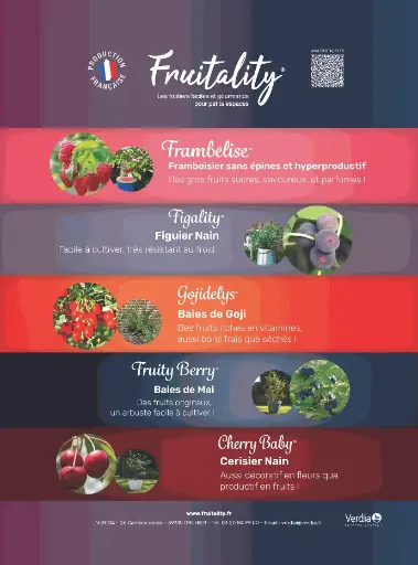 [PLVAFFPVCFRUIT] AFFICHE A4 PVC FRUITALITY