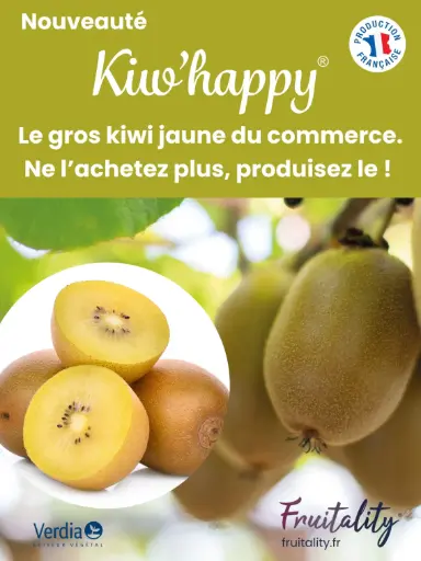 [PLVPANAKIKIW60X80] Panneau akilux Kiwhappy® 60x80cm