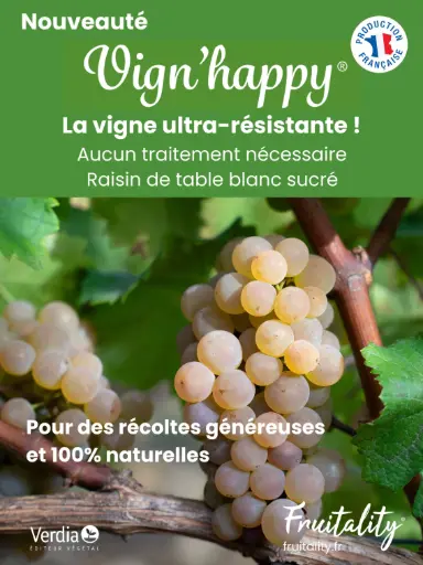 [PLVPANAKIVIG60X80] Panneau akilux Vignhappy® 60x80cm