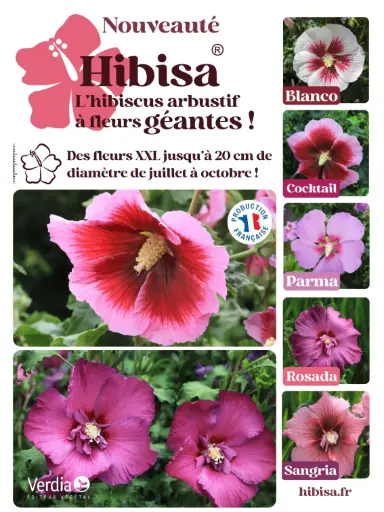 [PLVPANAKIHIB60X80] Panneau akilux HIBISA® 60x80cm